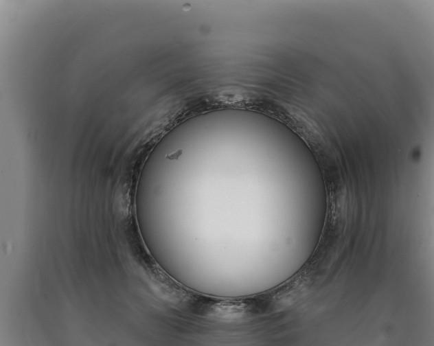 X0000090740606200707271425