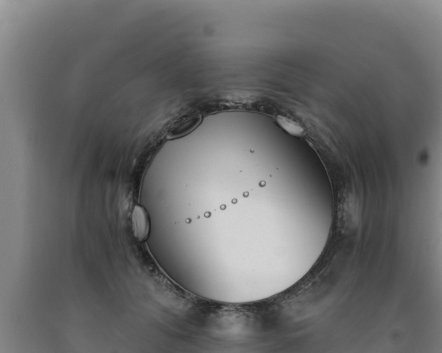 X0000090740608200707271425