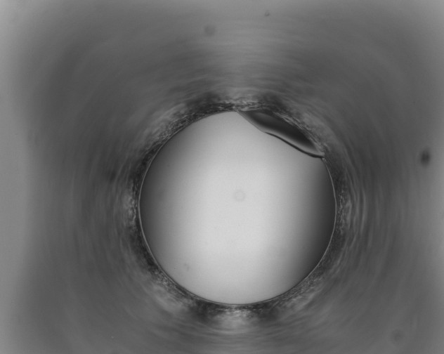 X0000090740609200707271425