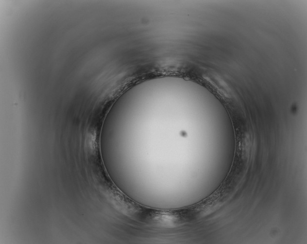 X0000090740610200707271425