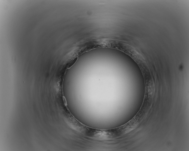 X0000090740611200707271425