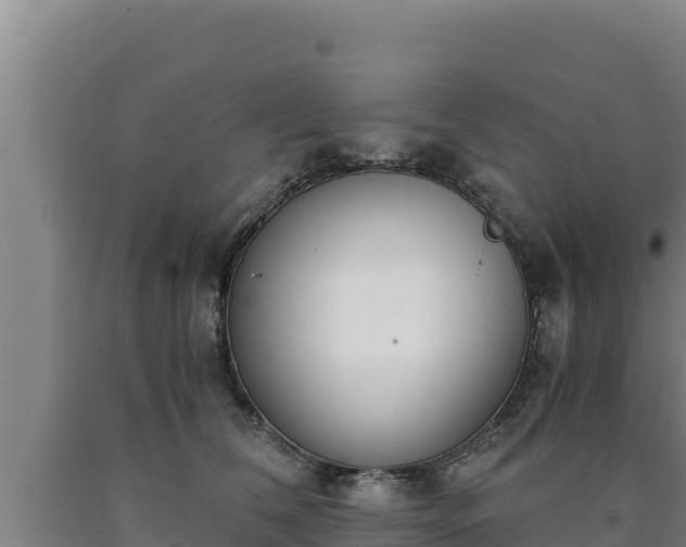 X0000090740612200707271425