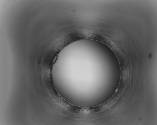 X0000090740613200707271425