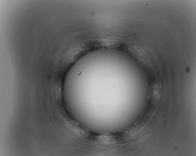 X0000090740615200707271425