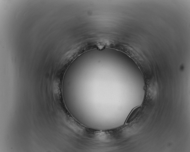 X0000090740616200707271425