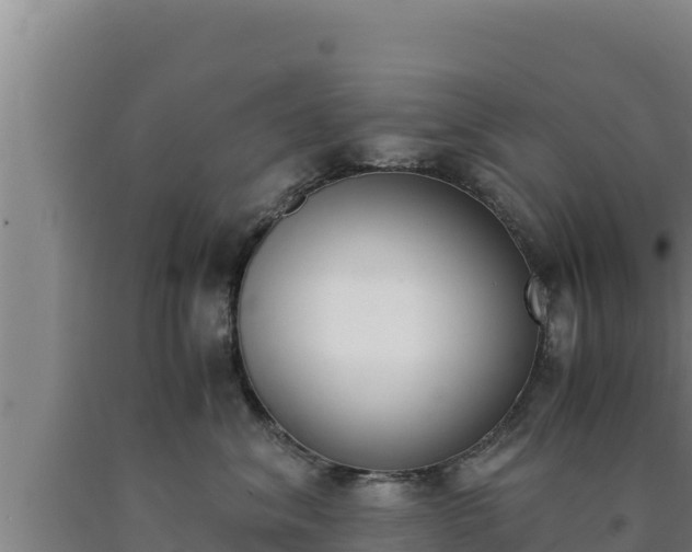 X0000090740620200707271425