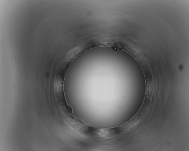 X0000090740623200707271425