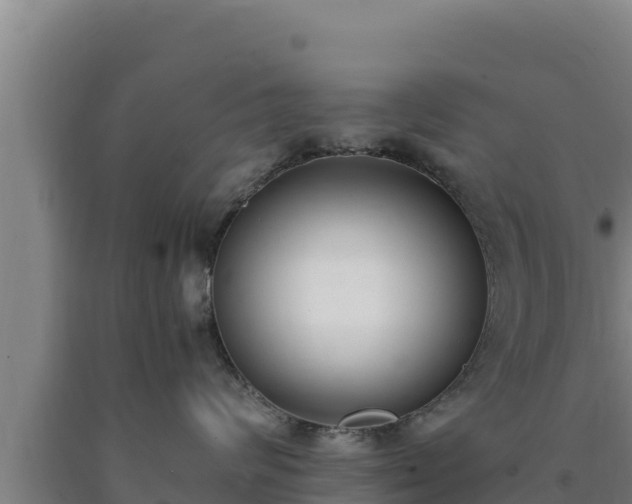 X0000090740624200707271425