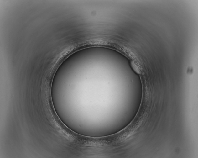 X0000090740625200707271424