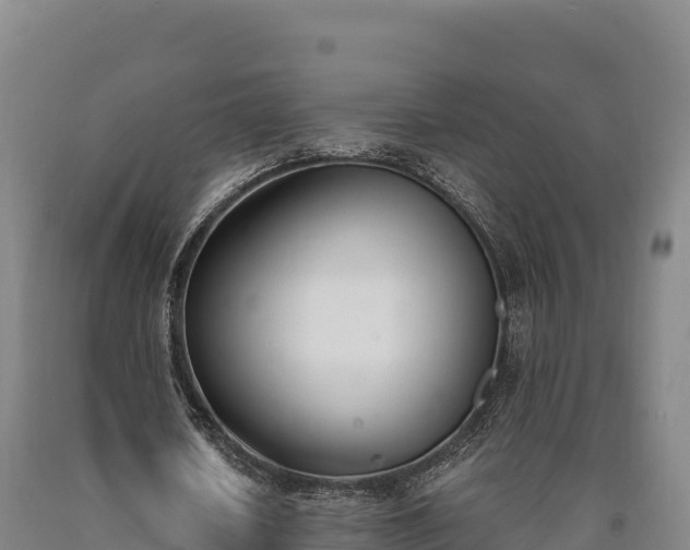 X0000090740626200707271424