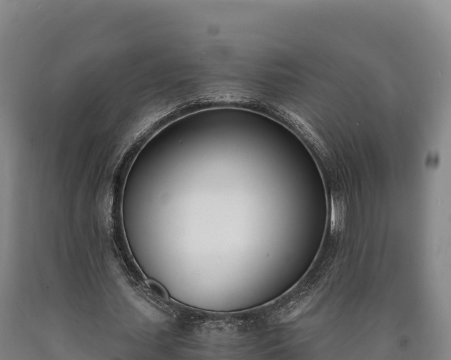 X0000090740627200707271425