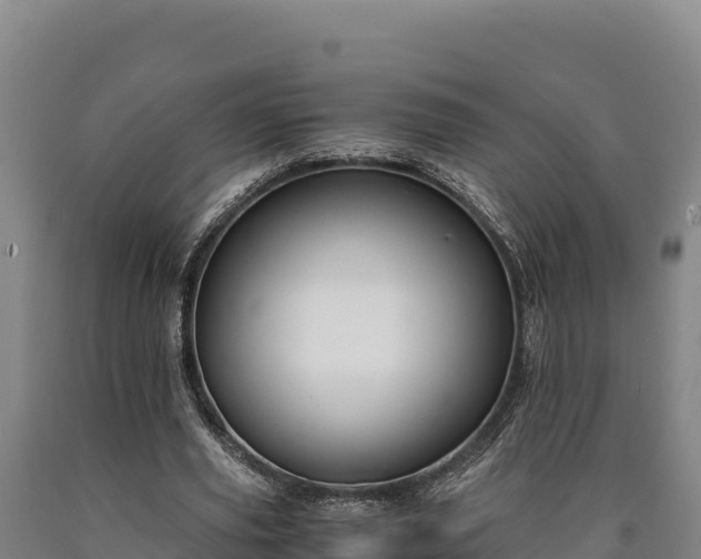 X0000090740629200707271425
