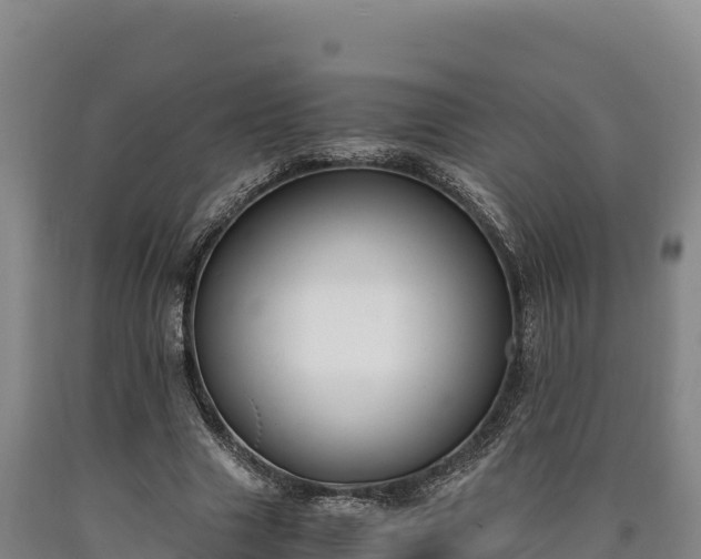 X0000090740633200707271425