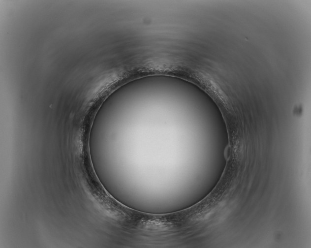 X0000090740635200707271425