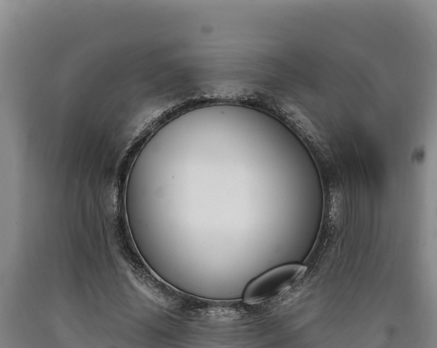 X0000090740636200707271425