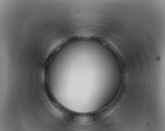 X0000090740638200707271425