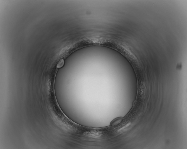 X0000090740639200707271425