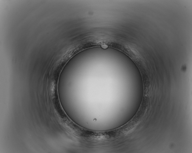 X0000090740646200707271425