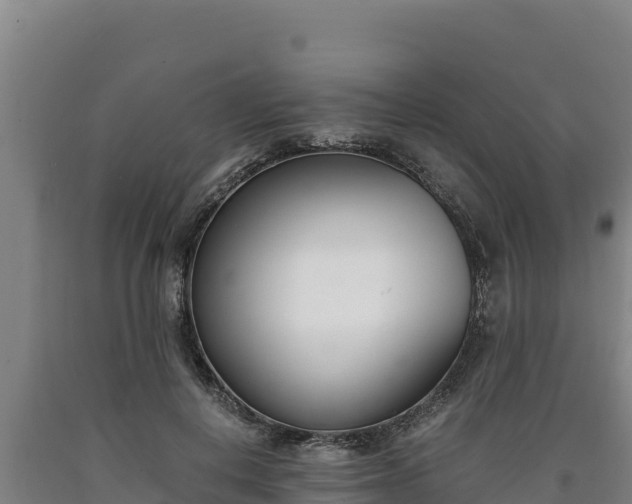 X0000090740648200707271425