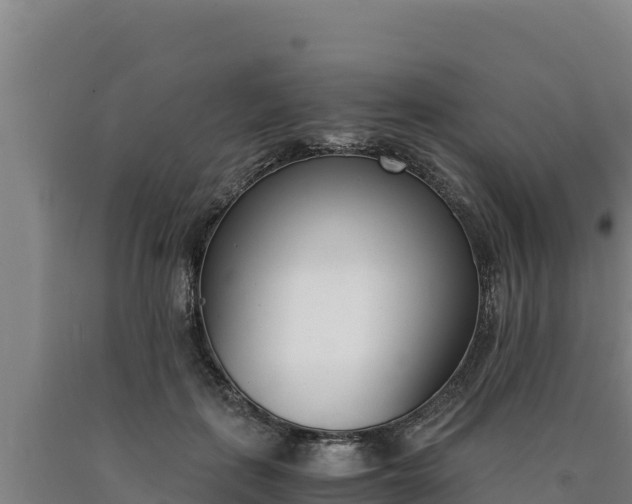 X0000090740651200707271425