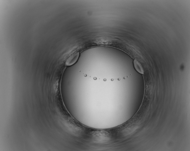 X0000090740652200707271425