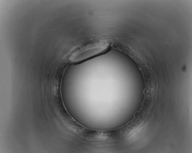 X0000090740656200707271425