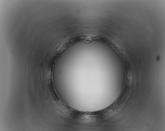 X0000090740657200707271425