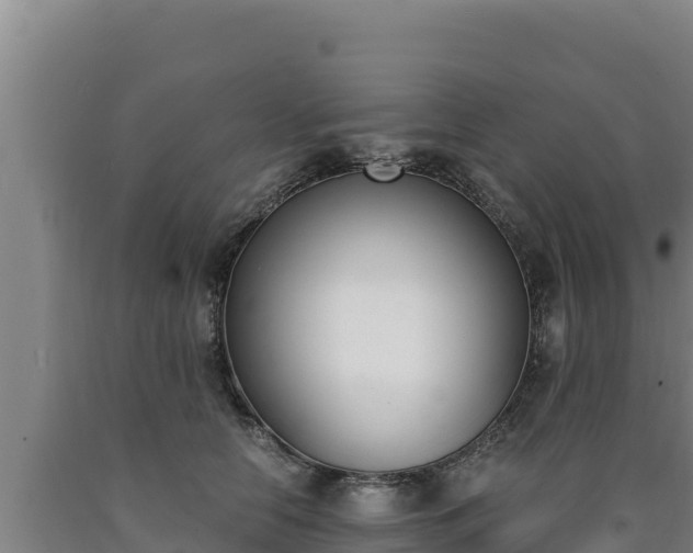 X0000090740658200707271425