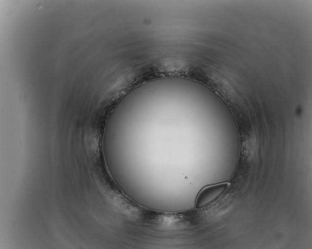 X0000090740662200707271425