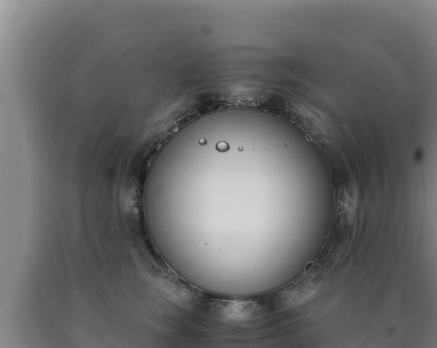 X0000090740663200707271425