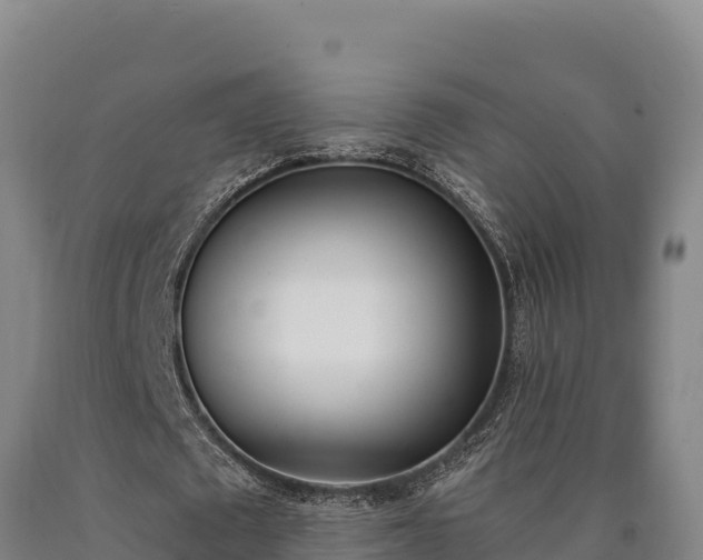 X0000090740673200707271424