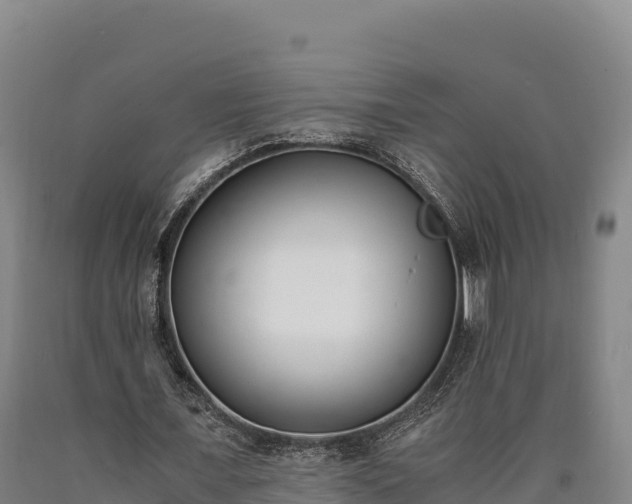 X0000090740675200707271424
