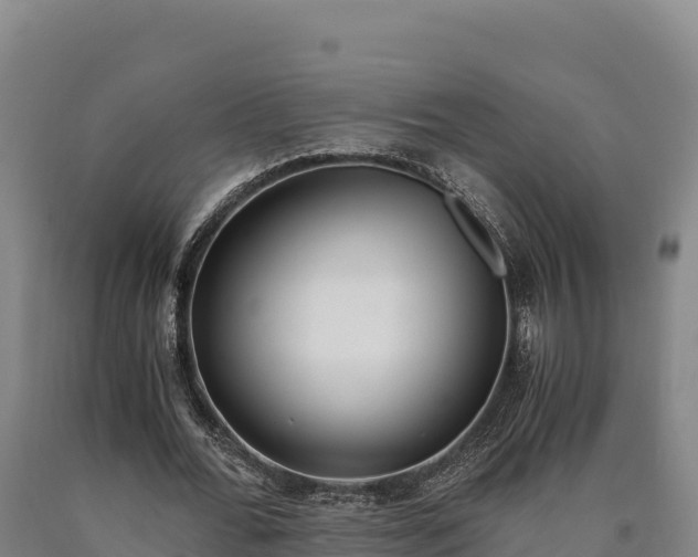 X0000090740676200707271424