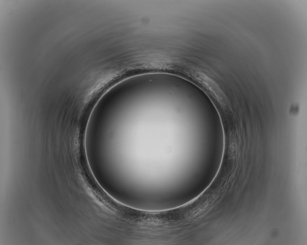 X0000090740677200707271424