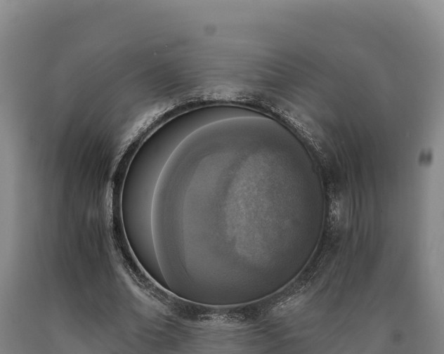 X0000090740678200707271424