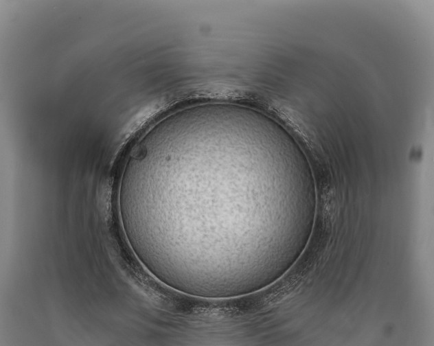 X0000090740679200707271424