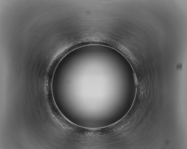 X0000090740680200707271424