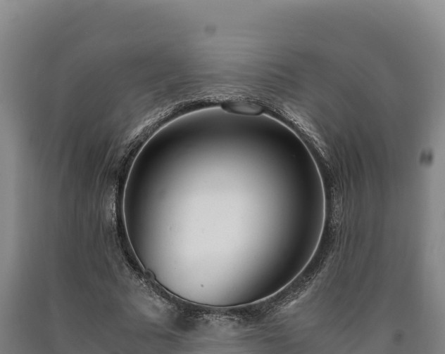 X0000090740681200707271424