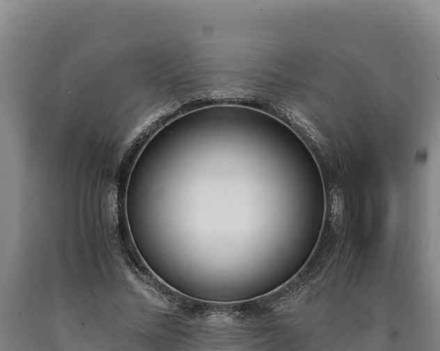 X0000090740684200707271424