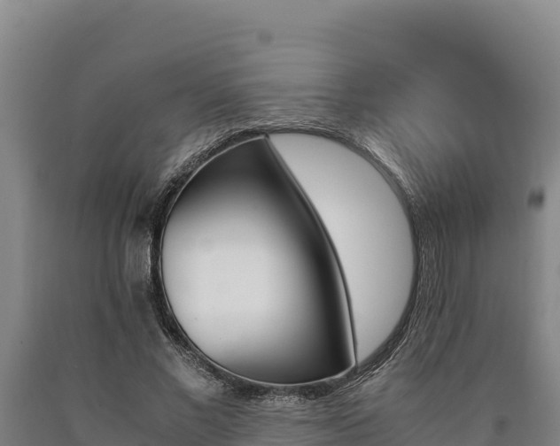 X0000090740685200707271424