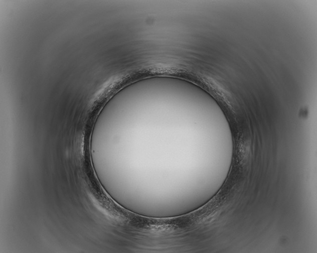 X0000090740686200707271424