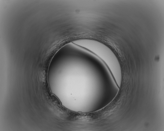 X0000090740689200707271424