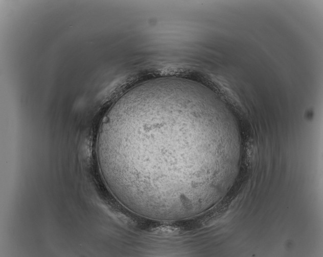 X0000090740691200707271424