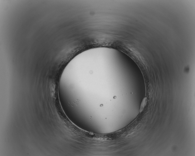 X0000090740693200707271424