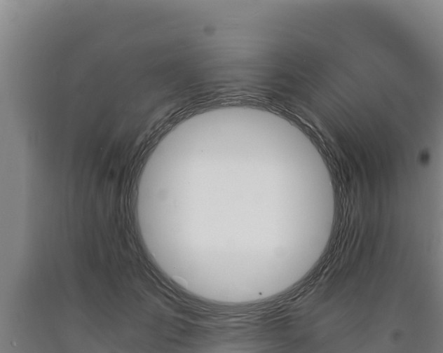 X0000090740701200707271424