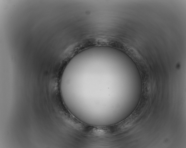 X0000090740706200707271424