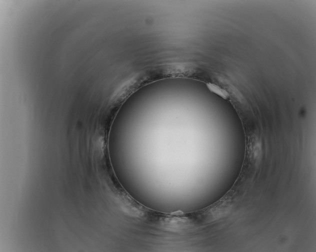 X0000090740716200707271424