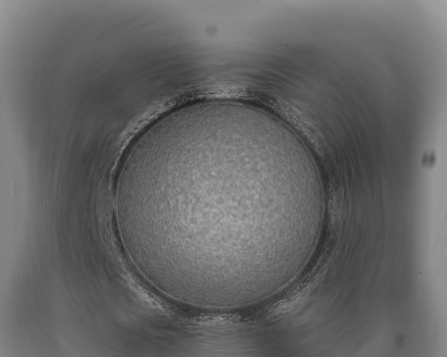 X0000090740721200707271423
