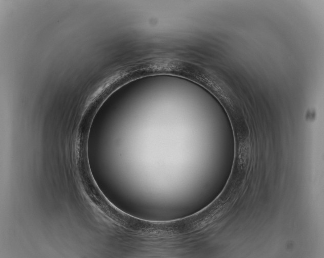 X0000090740722200707271423