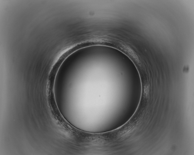X0000090740724200707271423